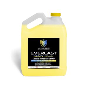 EVERLAST STAIN X